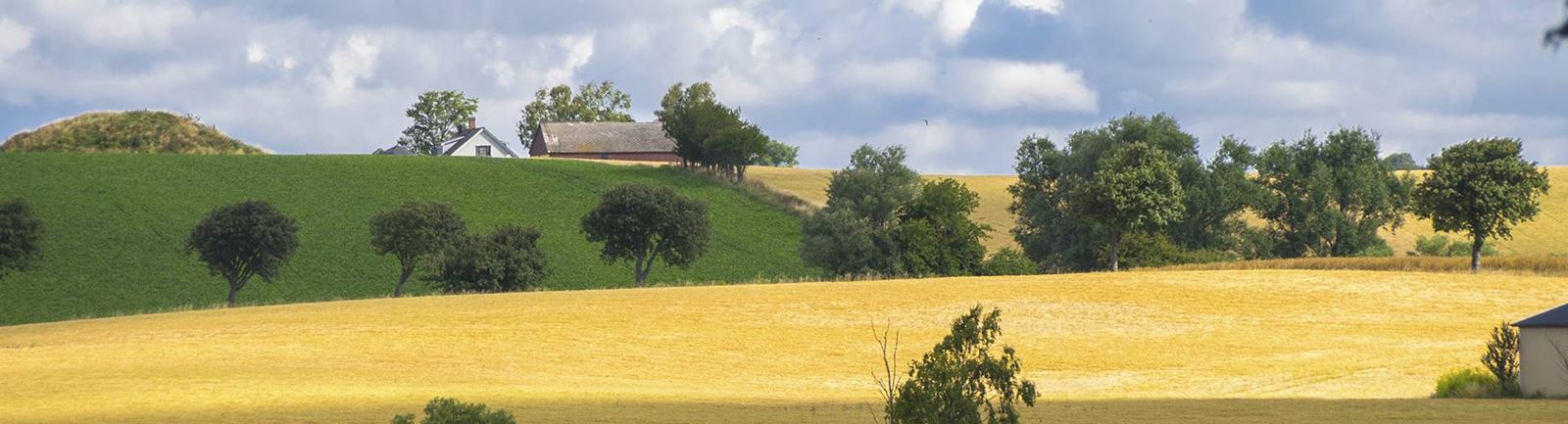 Skånsk landsbygd sensommar