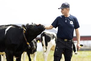 Thomas, mjölkbonde och kund i banken