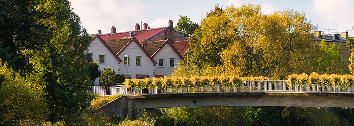 Några hus och träd från Ängelholm